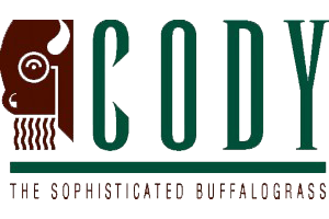 cody logo